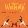Manuel Wandji - Spirit Of Roots